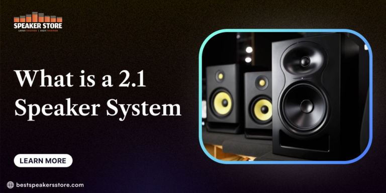 What is a 2.1 Speaker System